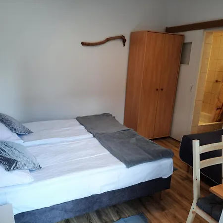 Homestay Dom Goscinny Zochna *